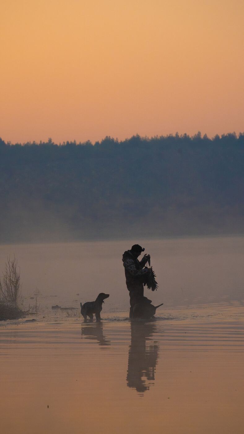 Duck hunting on the lake at dawn